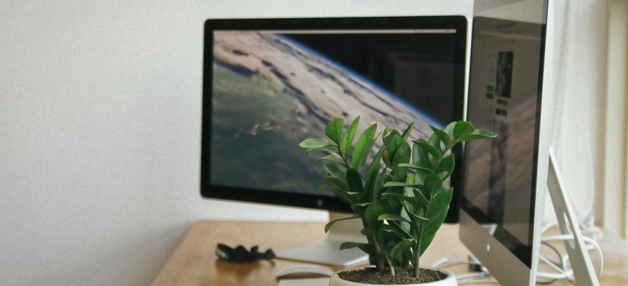 Monitor Guasti Cause