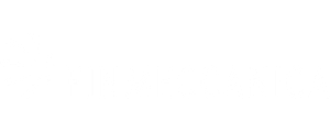 finmeccanica