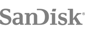 sandisk