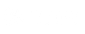 sapienza